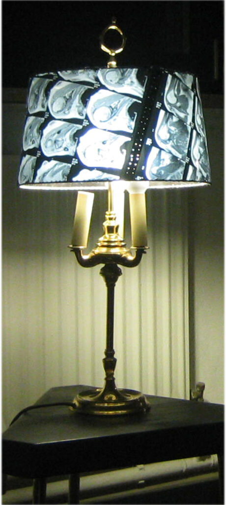 Knochenlampe Upcycling Art 2014 ein Unikat von Iris Greiner